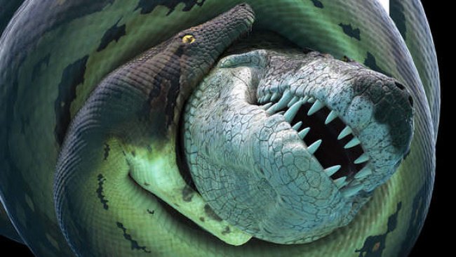 Bí Ẩn Quái Vật Khổng Lồ Titanoboa