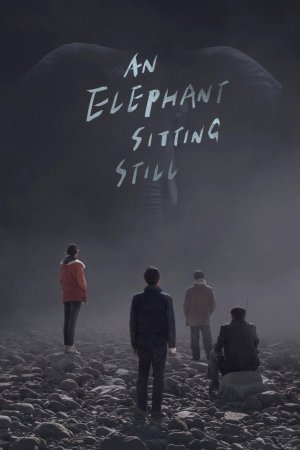 Chú Voi Ngồi Im Trên Đất (An Elephant Sitting Still) [2018]