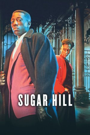 Con Đường Ma Túy (Sugar Hill) [1994]