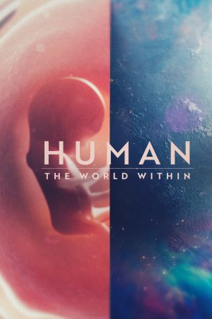 Xem phim Con người: Thế giới bên trong cơ thể