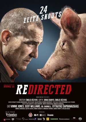 Cuộc Phiêu Lưu Bất Đắc Dĩ (Redirected) [2014]