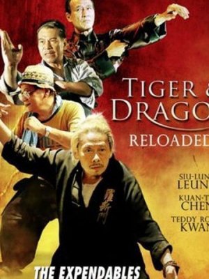 Đả Lôi Đài (Tiger and Dragon Reloaded) [2010]