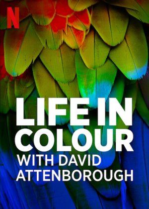 Xem phim David Attenborough: Sự sống đầy màu sắc
