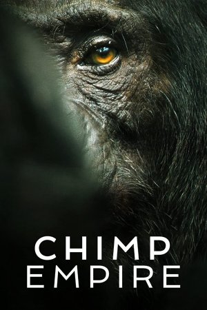 Đế chế tinh tinh (Chimp Empire) [2023]
