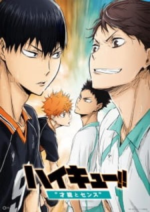 Xem phim Haikyuu!! Movie 3: Sainou to Sense