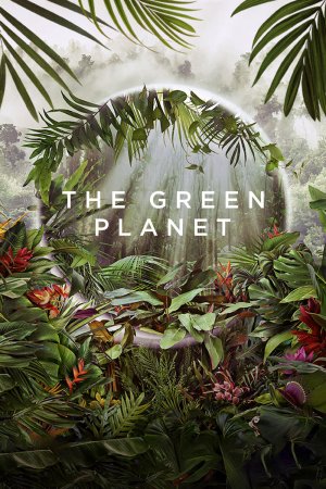 Hành Tinh Xanh (The Green Planet) [2022]