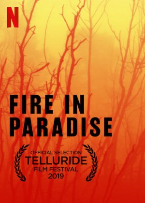 Xem phim Hỏa hoạn tại Paradise