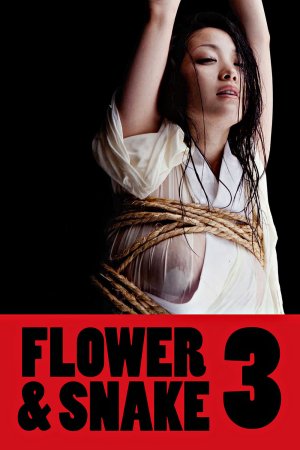 Hoa Và Rắn 3  (Flower & Snake 3) [2010]