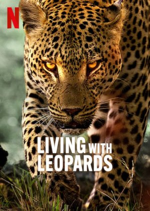 Xem phim  Living with Leopards