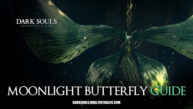 Moonlight Butterfly