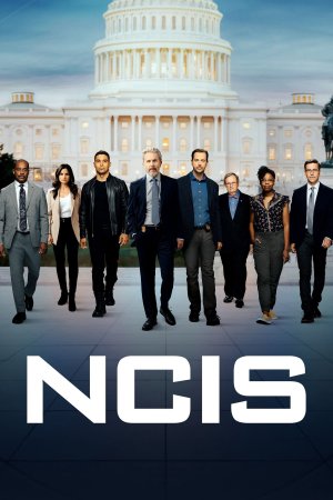 NCIS (Phần 14) (2003)