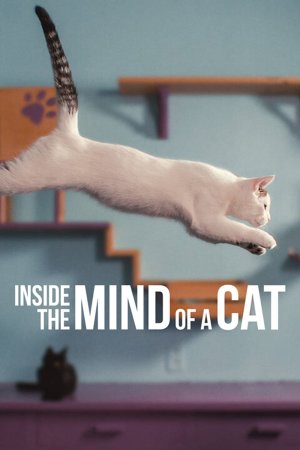 Những chú mèo nghĩ gì (Inside the Mind of a Cat) [2022]