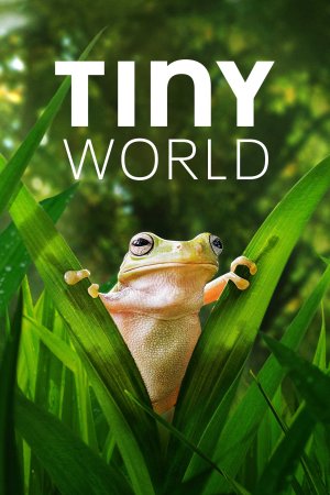 Thế Giới Siêu Nhỏ (Phần 2) (Tiny World (Season 2)) [2021]