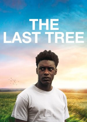 Xem phim The Last Tree