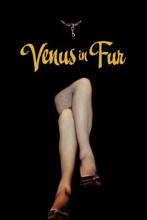 Vệ nữ áo lông (Venus in Fur (La Vénus à la fourrure)) [2013]